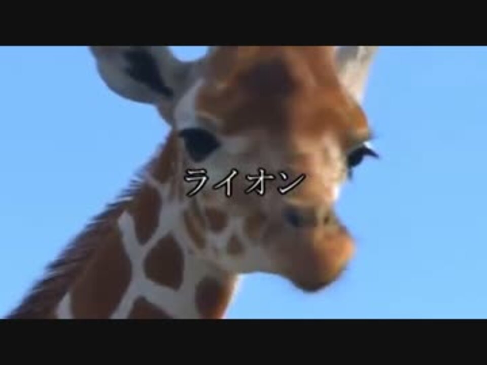 ほんとにほんとにほんとにほんとは備長炭