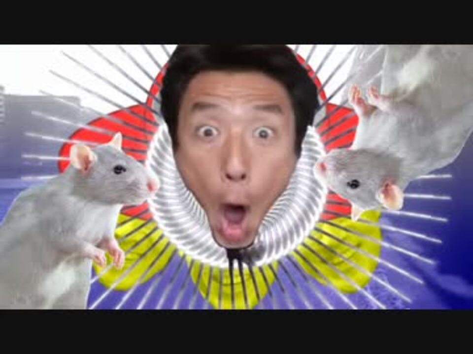 夏の湊に【松岡修造 東方声援船】