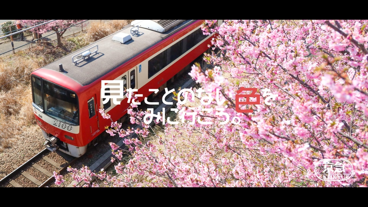 見たことのない色をみに行こう。